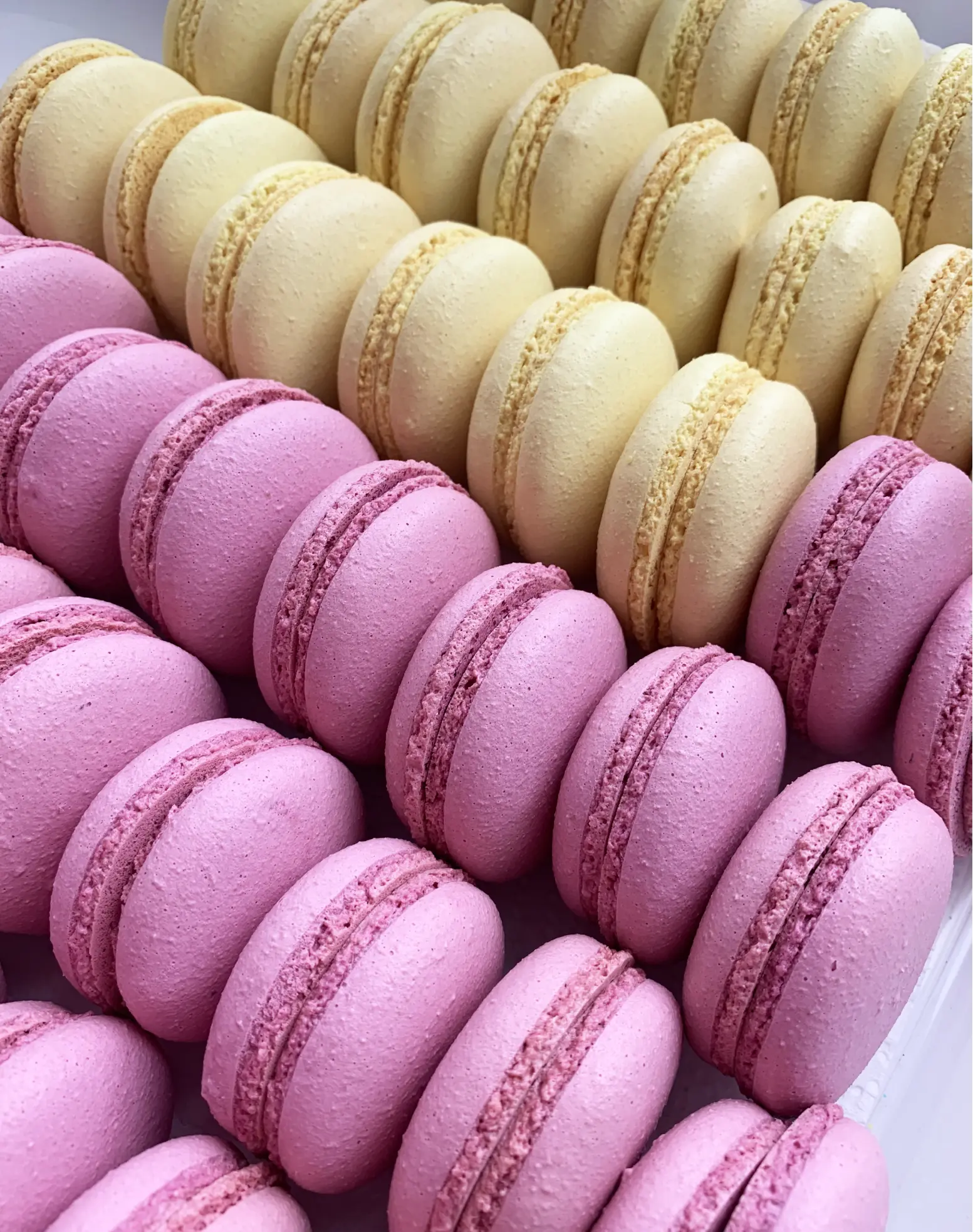 Online Course: Macarons